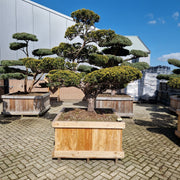 KONIMG:78BA59A8DB3C