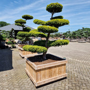 KONIMG:905345288BD9