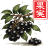 Frutos