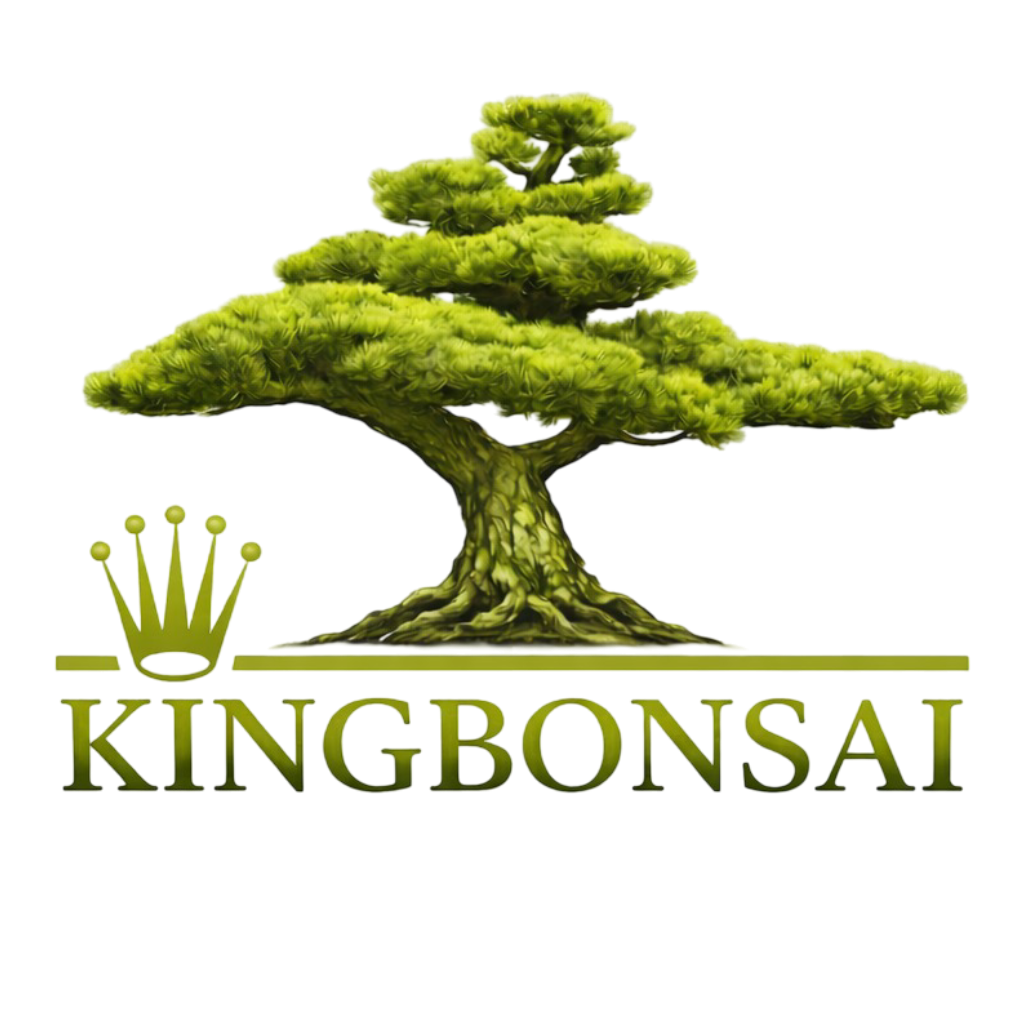 King Bonsai