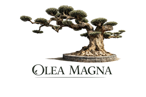 OleaMagna: Olivos Únicos